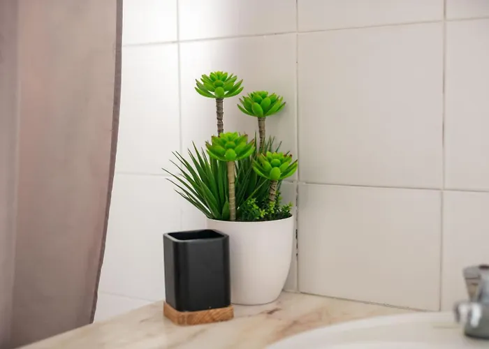 Family Friendly Azorean Apartment Ponta Delgada (Sao Miguel)